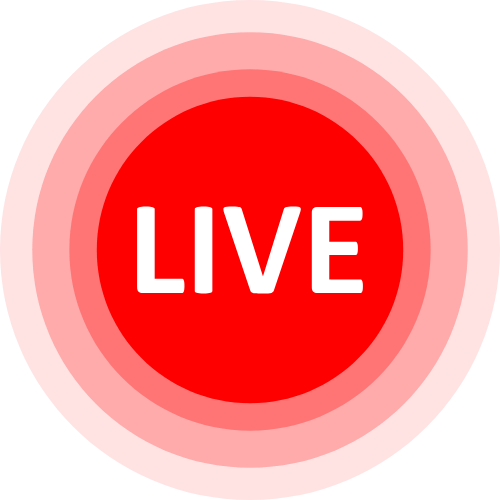 Riskyproject Webcam